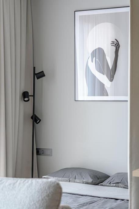 Cozy Japanese Oasis With Balcony, Gramophone, Netflix Apartment Vilnius Luaran gambar